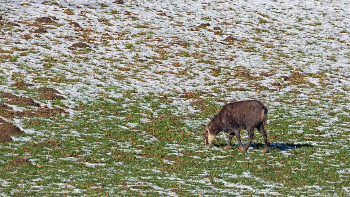 人気YouTuberのタイトルが長い理由